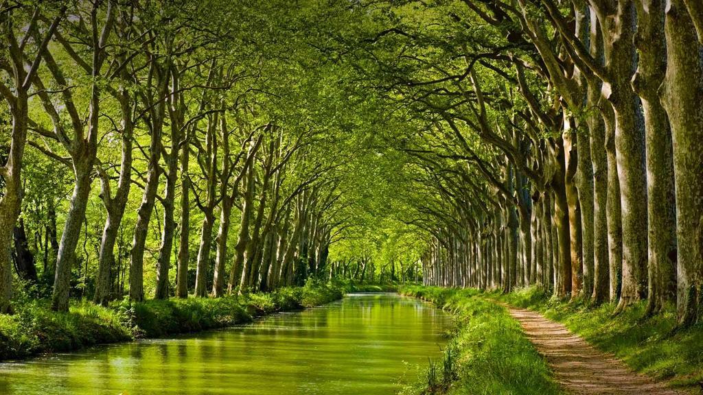 Gite La Chartreuse Du Canal Du Midi Тулуза Екстериор снимка